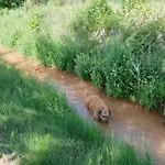 Monroser * Tremp
