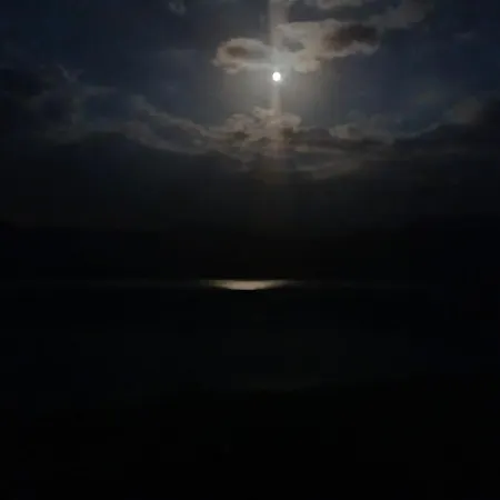 Monroser Lejlighed *