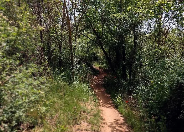 Διαμέρισμα Monroser Tremp