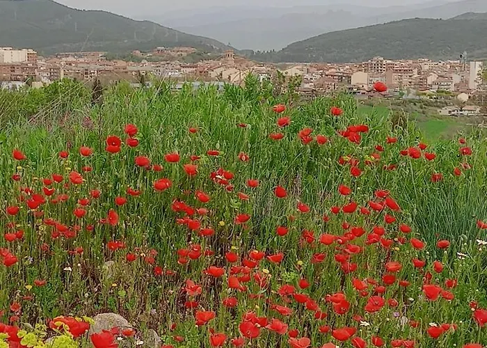 Διαμέρισμα Monroser